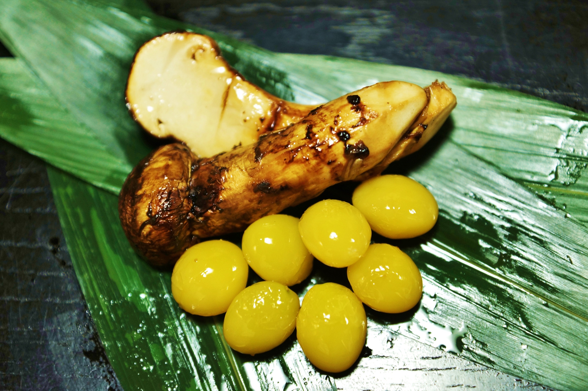 【SK124】 ★★採取予約販売 14日以内発送【都道府県名】国産高級天然マツタケ 100g〜150g つぼみ冷蔵 朝採り産直 - 画像 (2)