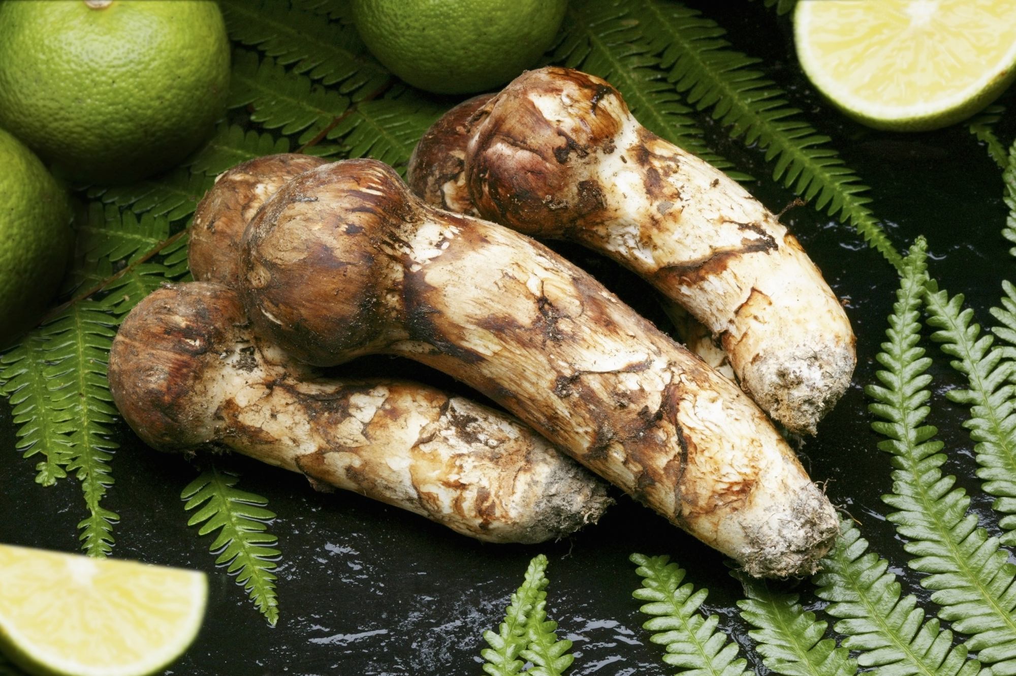 【SK124】 ★★採取予約販売 14日以内発送【都道府県名】国産高級天然マツタケ 100g〜150g つぼみ冷蔵 朝採り産直